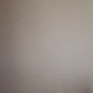 Meet your Posher, Jake